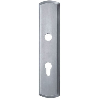 Stainless Steel Handle Plate